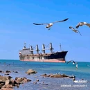途远度假公寓(威海国际海水浴场火炬八街店) - 威海市旅游 缩略图 1