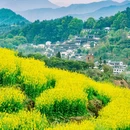 婺源篁岭景区-水街 - 上饶市旅游 缩略图 5