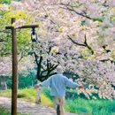 婺源篁岭景区-水街 - 上饶市旅游 缩略图 8