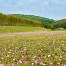 迳下村村民委员会 - 广州旅游 缩略图 8
