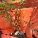 何二烧烤 - 成都市旅游 缩略图 5