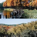 麓湖公园 - 广州市旅游 缩略图 7
