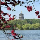白堤 - 杭州旅游 缩略图 1
