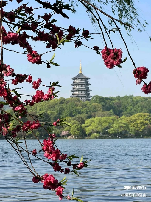 白堤 - 杭州旅游