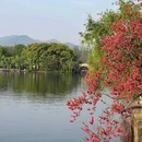白堤 - 杭州旅游 缩略图 2