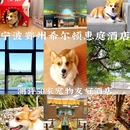 宁波鄞州希尔顿惠庭酒店 - 宁波市旅游 缩略图 1