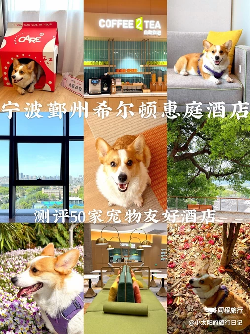宁波鄞州希尔顿惠庭酒店 - 宁波市旅游