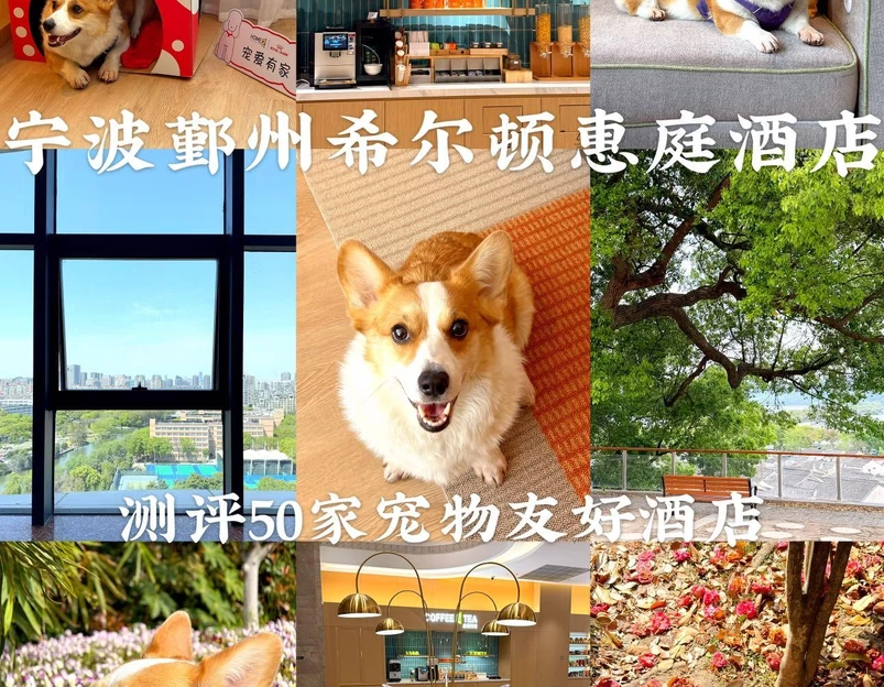 宁波鄞州希尔顿惠庭酒店 - 宁波市旅游 1