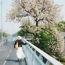 天一阁·月湖景区 - 宁波市旅游 缩略图 1
