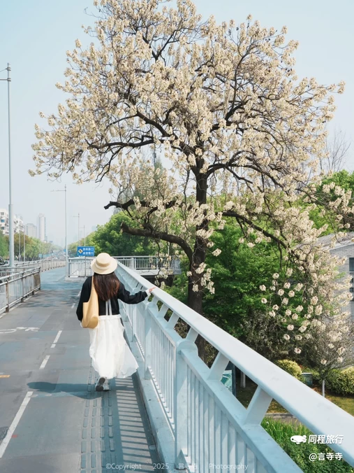 天一阁·月湖景区 - 宁波市旅游