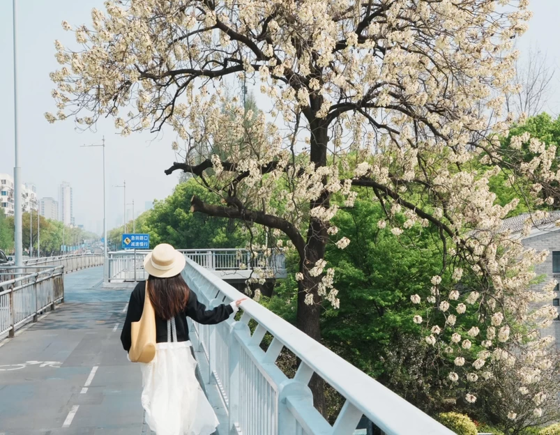 天一阁·月湖景区 - 宁波市旅游 1