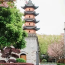 天一阁·月湖景区 - 宁波市旅游 缩略图 6