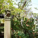 天一阁·月湖景区 - 宁波市旅游 缩略图 9