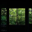烟雨楼 - 嘉兴市旅游 缩略图 1