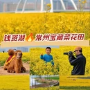 钱资湖大桥 - 常州市旅游 缩略图 1