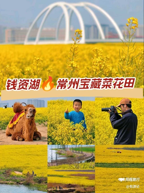 钱资湖大桥 - 常州市旅游
