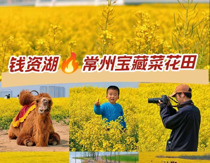 钱资湖大桥 - 常州市旅游 1