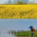 钱资湖大桥 - 常州市旅游 缩略图 6