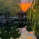 拙政园 - 苏州市旅游 缩略图 9