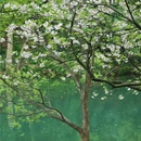 乌龟潭景区 - 杭州市旅游 缩略图 3