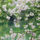 乌龟潭景区 - 杭州市旅游 缩略图 2