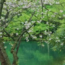 乌龟潭景区 - 杭州市旅游 缩略图 8