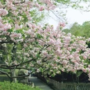 乌龟潭景区 - 杭州市旅游 缩略图 9