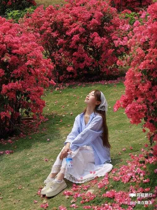 云萝植物园 - 广州市旅游
