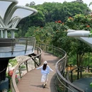 云萝植物园 - 广州市旅游 缩略图 5