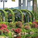 云萝植物园 - 广州市旅游 缩略图 8