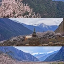 秀巴千年古堡群 - 林芝市旅游 缩略图 7