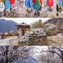 秀巴千年古堡群 - 林芝市旅游 缩略图 8