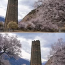 秀巴千年古堡群 - 林芝市旅游 缩略图 9