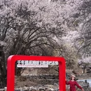 秀巴千年古堡群 - 林芝市旅游 缩略图 3