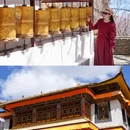 巴松措风景区 - 林芝市旅游 缩略图 9