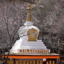 巴松措风景区 - 林芝市旅游 缩略图 8