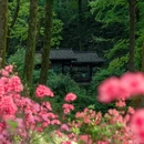 铜陵永泉小镇 - 铜陵市旅游 缩略图 5