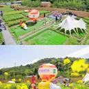 黄岩石窟 - 台州市旅游 缩略图 1