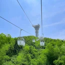 天际森谷山野度假乐园莫干山天际森谷山野乐园莫干山天际森谷山野度假区 - 湖州市旅游 缩略图 7