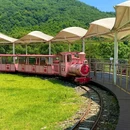 天际森谷山野度假乐园莫干山天际森谷山野乐园莫干山天际森谷山野度假区 - 湖州市旅游 缩略图 9