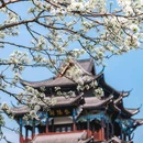 武汉站 - 武汉市旅游 缩略图 5
