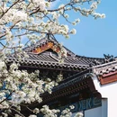 武汉站 - 武汉市旅游 缩略图 2