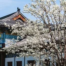 武汉站 - 武汉市旅游 缩略图 3
