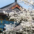 武汉站 - 武汉市旅游 缩略图 9