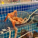 北李妈妈菜(东港凯丹广场店) - 大连市旅游 缩略图 4