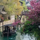 乌镇古镇旅游区 - 嘉兴市旅游 缩略图 4
