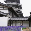 新广州文化馆 - 广州市旅游 缩略图 4