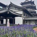 新广州文化馆 - 广州市旅游 缩略图 5
