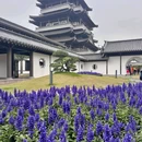 新广州文化馆 - 广州市旅游 缩略图 3
