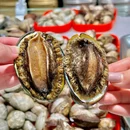 黄金宝海鲜自选火锅(大连首店) - 大连市旅游 缩略图 5